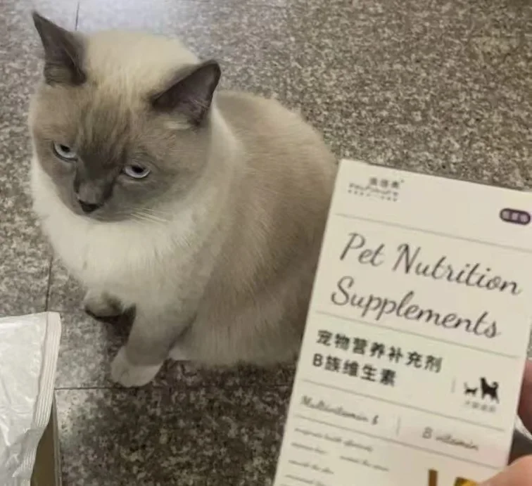 冬冬坐在地板上